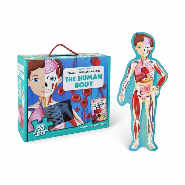 Avaleea Óriás Oktató Puzzle, Emberi Test, 200 darab, 130x45 cm, 5 éves kortól