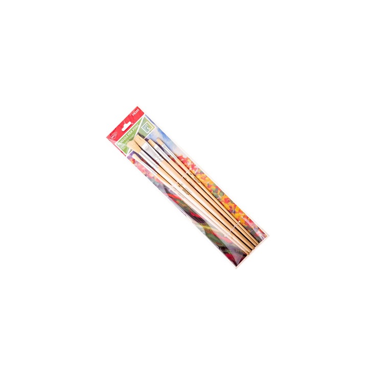 Set 5 Pensule cu Par de Porc, Maner Lung, Varf Rotund si Lat pentru Pictura DACO sku28