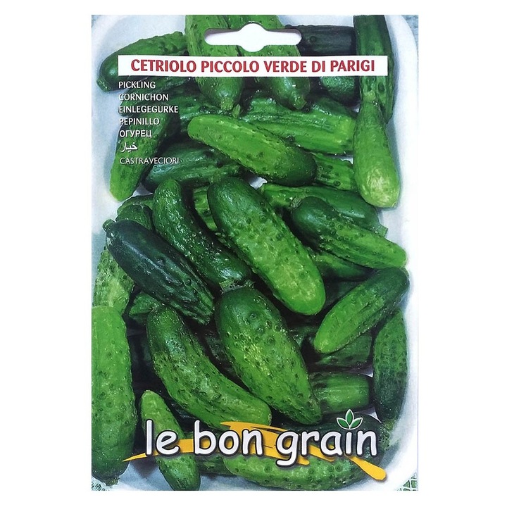 Set 5 x Seminte de Castraveti, Piccolo Verde di Parigi, 5 g, Raci Sementi