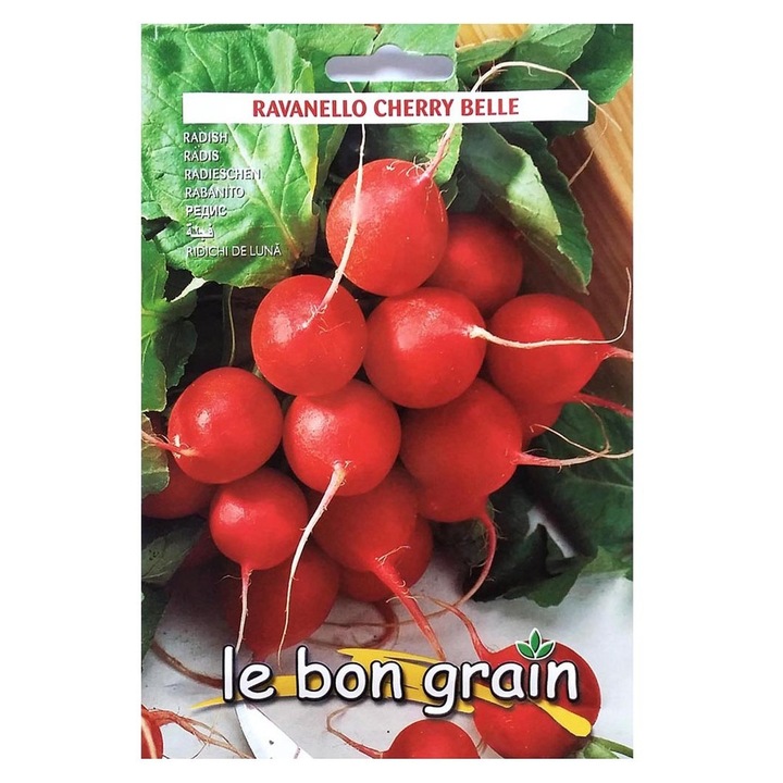 Set 2 x Seminte de Ridichi de Luna, Cherry Belle, 100 g, Raci Sementi