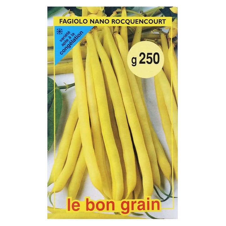 Set 2 x Seminte de Fasole Galbena Fideluta, Rocquencourt, 250 g, Raci Sementi