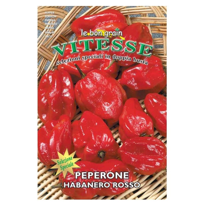 Set 3 x Seminte de Ardei Iute, Habanero Rosu, 0.6 g, Raci Sementi