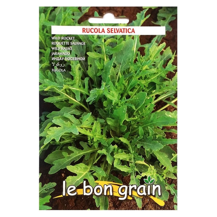 Set 4 x Seminte de Rucola Salbatica, 3 g, Raci Sementi