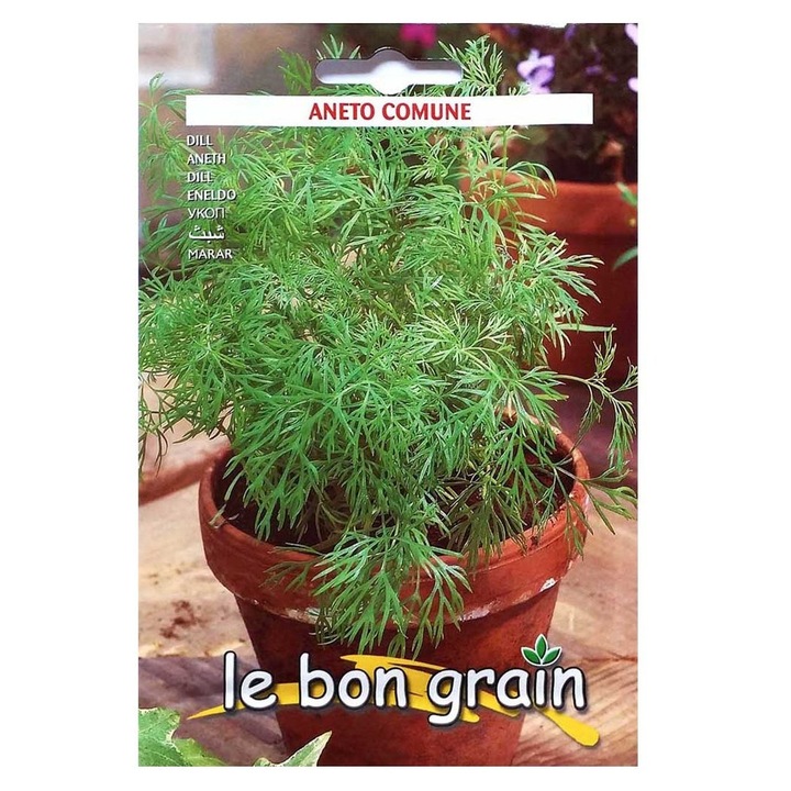 Set 5 x Seminte de Marar, 10 g, Raci Sementi
