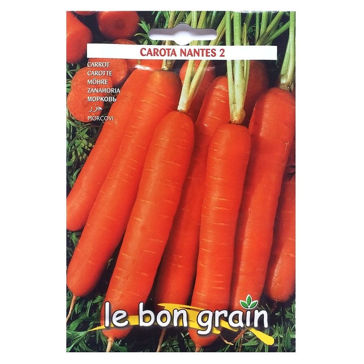 Set 2 x Seminte de Morcovi, Nantes 2, 100 g, Raci Sementi