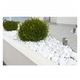 Biovita Extra White Thassos dekoratív kő, fehér, 60-100mm, 20kg