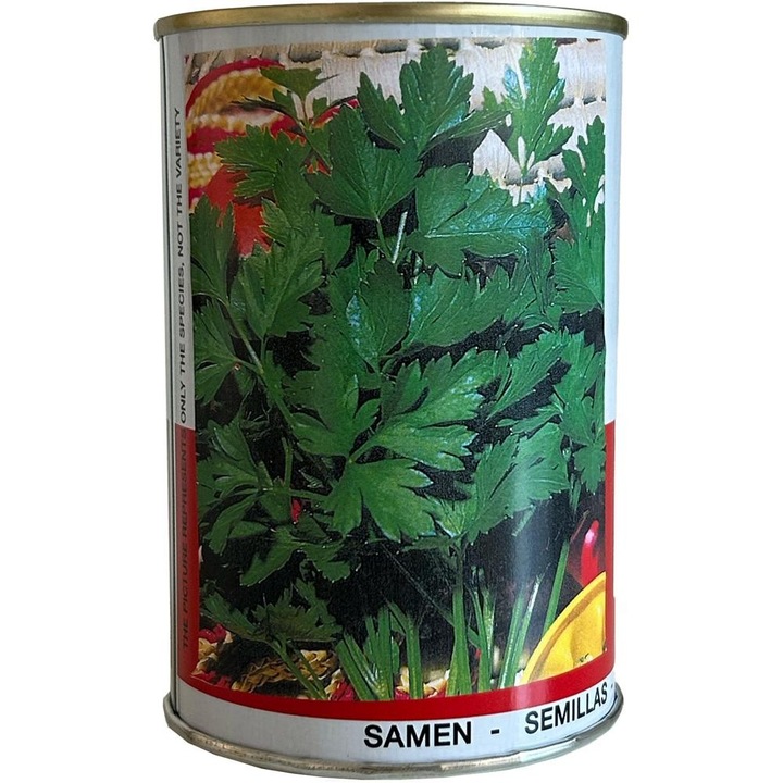 Set 2 x Seminte de Patrunjel Frunze Gigante, 100 g, Raci Sementi