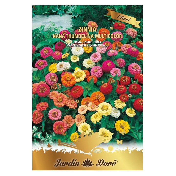 Set 3 x Seminte de Carciumarese, Zinnia Nana Thumbelina, Multicolor, 2 g