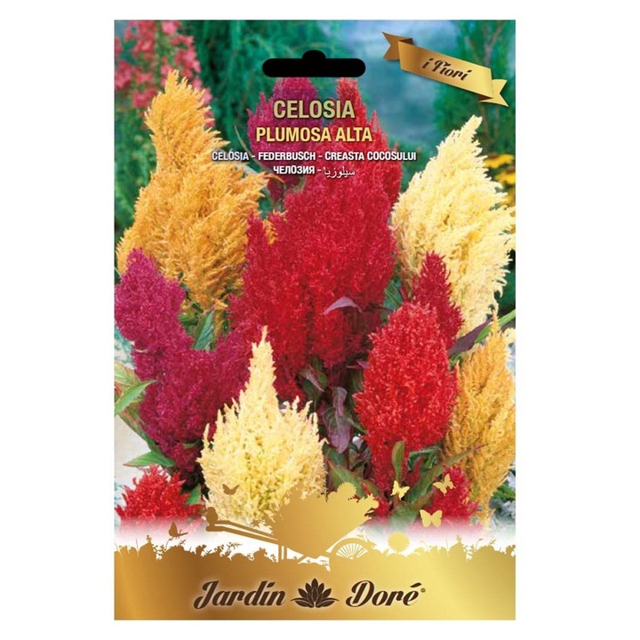Set 3 x Seminte Flori, Creasta Cocosului, Amestec Multicolor, Raci Sementi