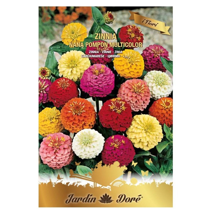 Set 3 x Seminte de Carciumarese, Zinnia Nana Pampon, Multicolor, 3 g