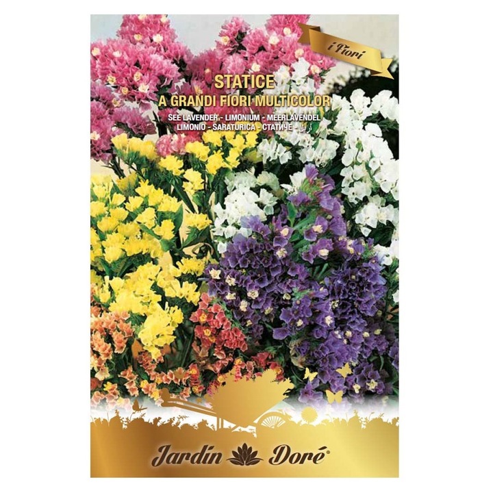 Set 4 x Seminte Flori, Saraturica, Statice Grandi Fiori, Amestec Multicolor, 0.5 g