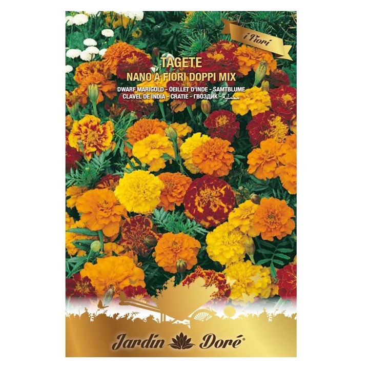 Set 3 x Seminte Flori Craite Pitice Batute, Amestec Multicolor, 2.5 g