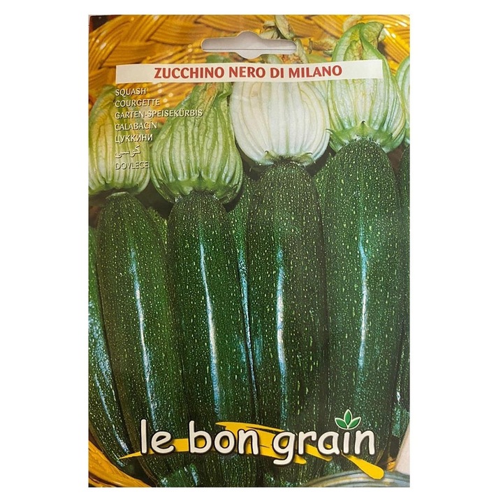 Set 5 x Seminte de Dovlecei Verde Inchis, Nero Di Milano, 10 g, Raci Sementi