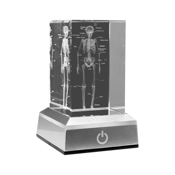 Figurina Cristal Scheletic Uman Gravata Laser 3D, Model Anatomical, Baza cu Lumina Argintie, Alb
