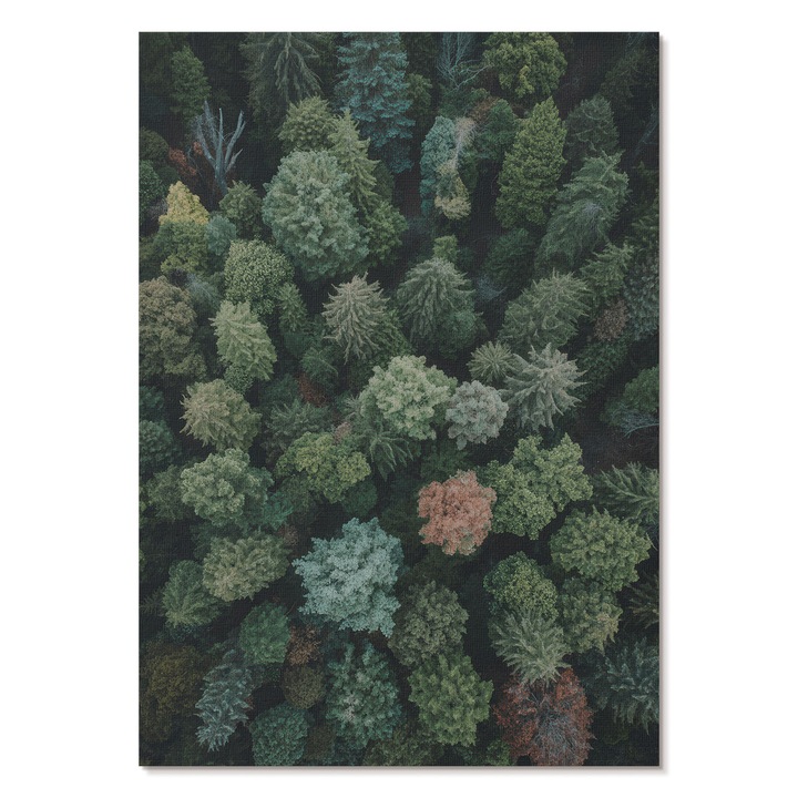 Dekoratív Vászonkép A3, Tulup, Erdő felülről, Zöld, 29.7 x 42 cm, Élénk Színek, Keret nélkül, 010030020120000293971