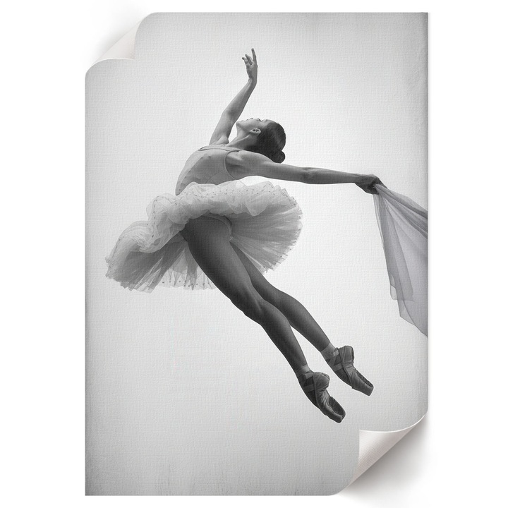 Poster A4 Canvas Decorativ, Wallfluent, Dansul Elegantei, Multicolor, 21 x 29.7 cm, Decor Perete Interior, Pentru Living Sau Dormitor, 010030020070000293342