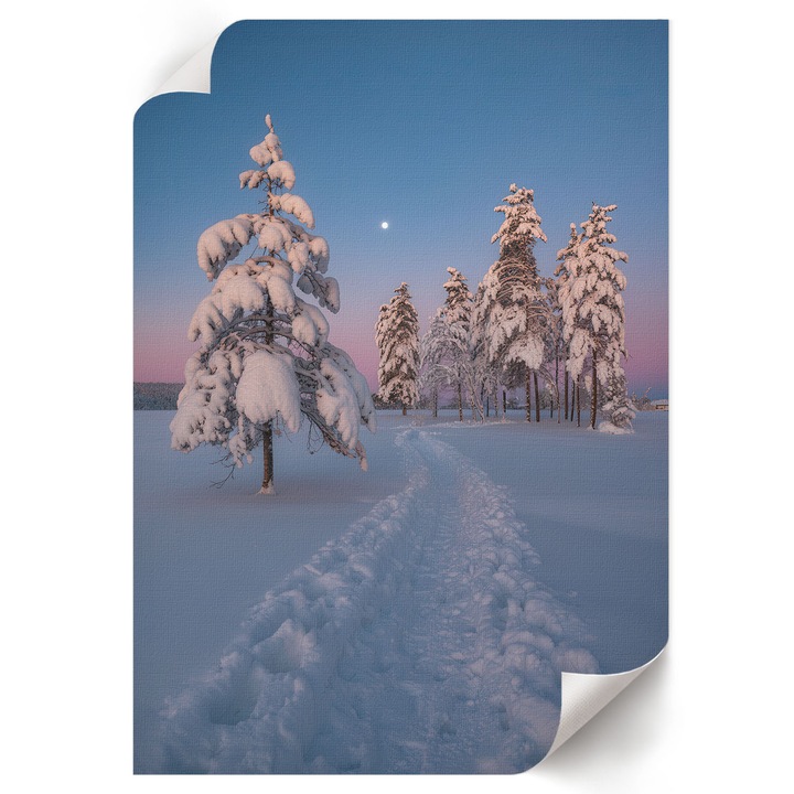 Poster A4 Canvas Decorativ, Wallfluent, Peisaj De Iarna, Alb, 21 x 29.7 cm, Decor Perete Interior, Pentru Living Sau Dormitor, 010030020070000293314