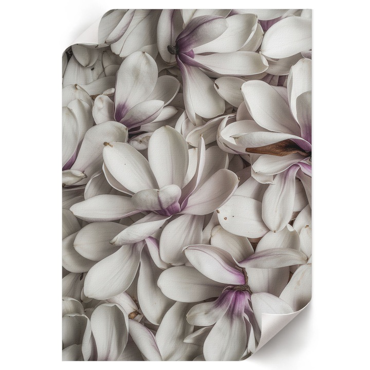 Poster A4 Canvas Decorativ, Wallfluent, Motiv Floral, Alb, 21 x 29.7 cm, Decor Perete Interior, Pentru Living Sau Dormitor, 010030020070000293296