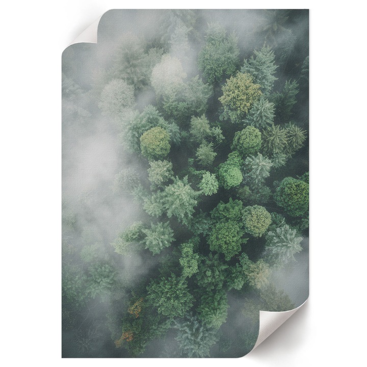 Poster A4 Canvas Decorativ, Wallfluent, Ceata De Padure, Verde, 21 x 29.7 cm, Decor Perete Interior, Pentru Living Sau Dormitor, 010030020070000293381
