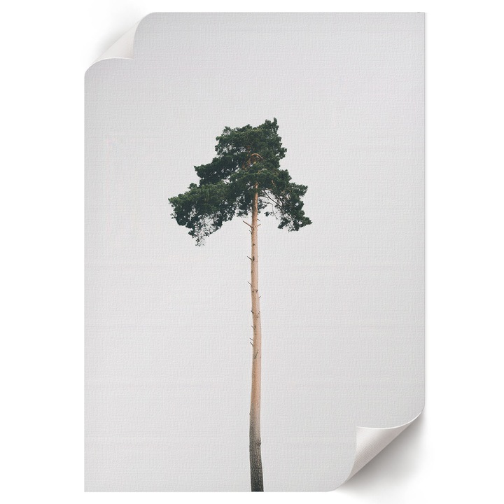 Poster A2 Canvas Decorativ, Wallfluent, Copac Singuratic, Alb, 42 x 59.4 cm, Decor Perete Interior, Pentru Living Sau Dormitor, 010030020220000293387