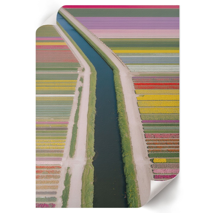 Dekoratív Poszter A1, Wallfluent, Virágmezők, Zöld, 59.4 x 84 cm, Hálószoba és Nappali, Vászonkép, 010030020310000294086