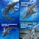 Wacorresi tengeralattjáró, dupla propelleres 2.4 GHz, vízi kialakítás, mosasaur szimulált tréfa játék, vízálló