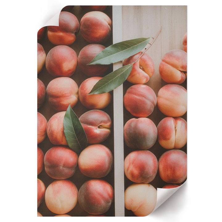 Dekoratív Poszter A4, Wallfluent, Lédús őszibarack, Piros, 21 x 29.7 cm, Hálószoba és Nappali, Vászonkép, 010030020070000293345