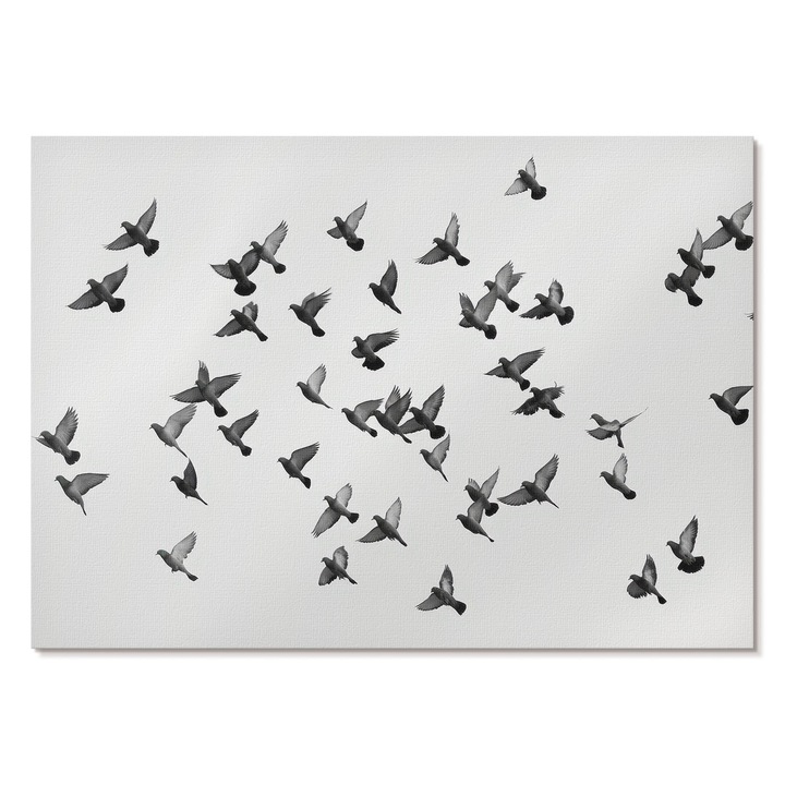 Poster A4 Pentru Perete, Tulup, Pasari Care Zboara, Multicolor, 29.7 x 21 cm, Print Pe Panza, Decorativ, 010030020110000294504