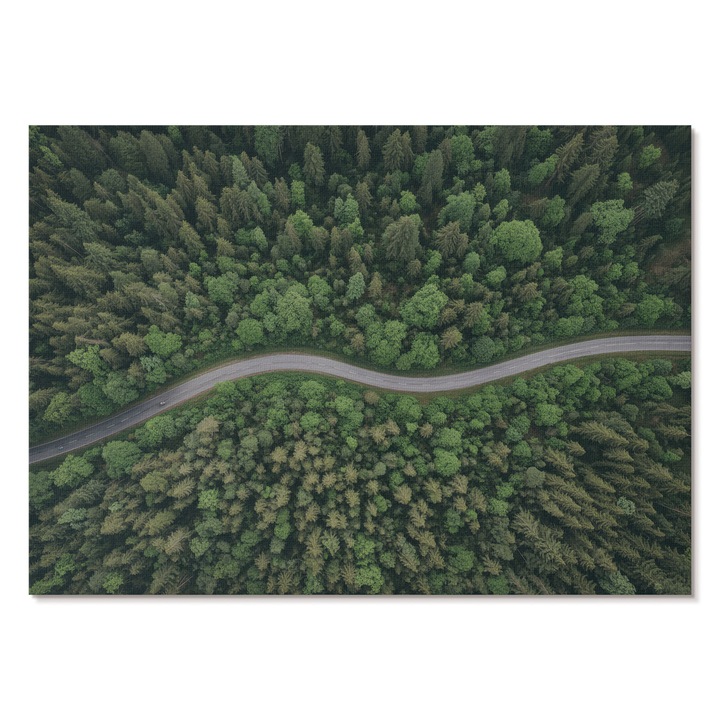 Dekoratív Vászonkép A2, Tulup, Erdei út, Zöld, 59.4 x 42 cm, Élénk Színek, Keret nélkül, 010030020300000294513