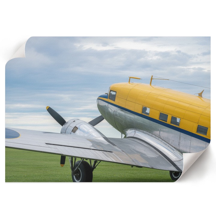 Poster A1 Canvas Decorativ, Wallfluent, Avion De Epoca, Galben, 84 x 59.4 cm, Decor Perete Interior, Pentru Living Sau Dormitor, 010030020390000294758