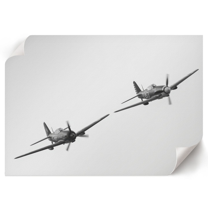 Dekoratív Poszter A1, Wallfluent, Fekete repülőgépek, Fekete és fehér, 84 x 59.4 cm, Hálószoba és Nappali, Vászonkép, 010030020390000294728