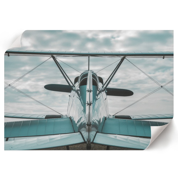 Poster A1 Canvas Decorativ, Wallfluent, Avion Clasic, Gri, 84 x 59.4 cm, Decor Perete Interior, Pentru Living Sau Dormitor, 010030020390000294753