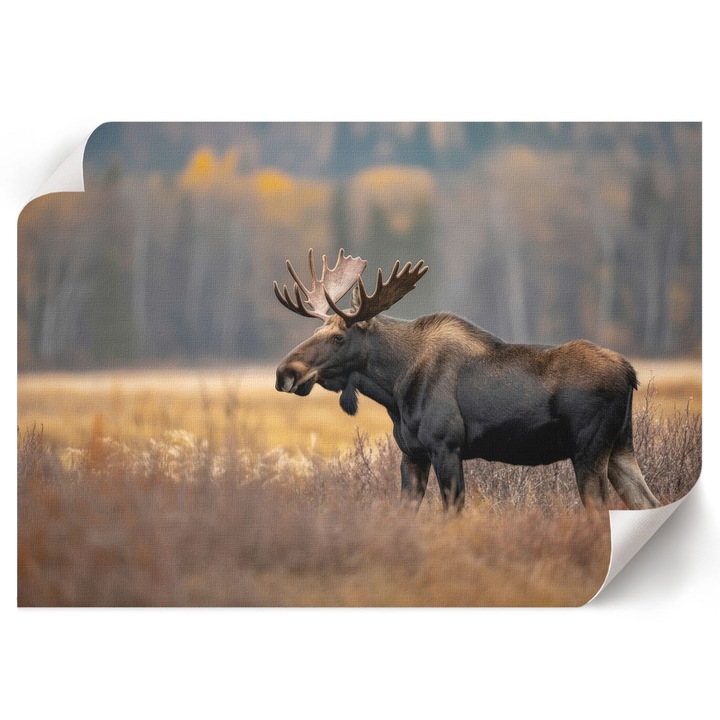 Poster A1 Canvas Decorativ, Wallfluent, Elan De Toamna, Maro, 84 x 59.4 cm, Decor Perete Interior, Pentru Living Sau Dormitor, 010030020390000294692