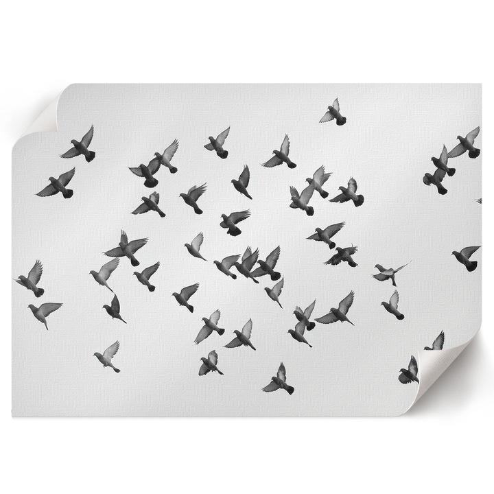 Poster A4 Canvas Decorativ, Wallfluent, Pasari Care Zboara, Multicolor, 29.7 x 21 cm, Decor Perete Interior, Pentru Living Sau Dormitor, 010030020110000294504
