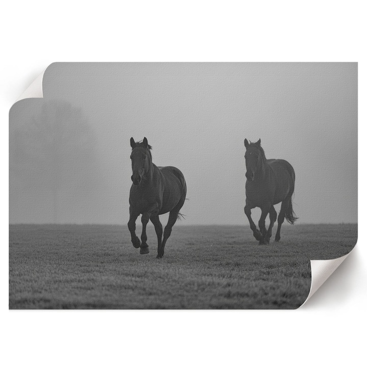 Poster A1 Canvas Decorativ, Wallfluent, Cai La Fuga, Gri, 84 x 59.4 cm, Decor Perete Interior, Pentru Living Sau Dormitor, 010030020390000294431