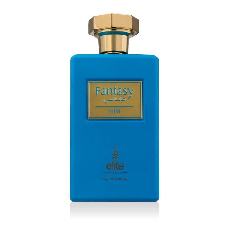 Risala Elite Fantasy Him Eau de Parfum, 100 ml, citrusos-aromás, gyömbér jegyek, férfi