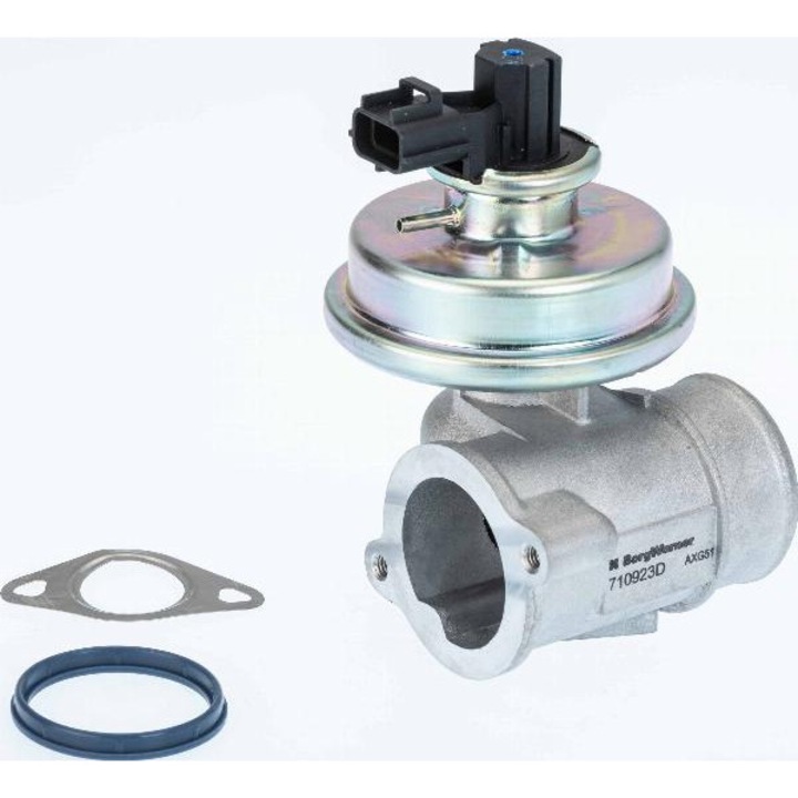 EGR szelep BORGWARNER 710923D - kompatibilis Ford, Jaguar