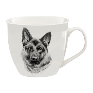 Cani si cesti