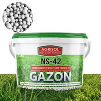 Ingrasamant pentru Gazon AGRISOL NS-42, 2.5 kg, 250 m2, Crestere Rapida si Verde Intens, Toate Tipurile de Gazon, Produs in Romania