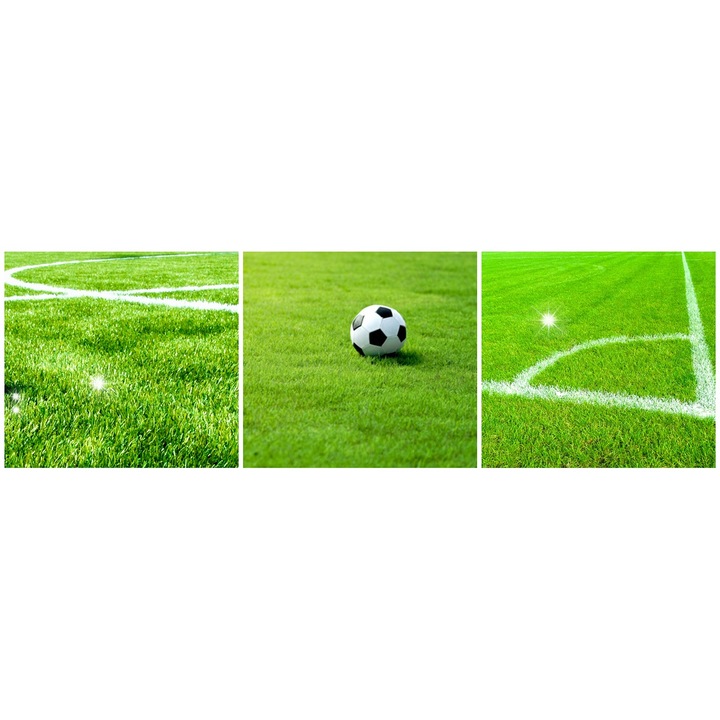 Rebounder fotbal, Zolta, multifunctional, stabil si rezistent, 100x100x70cm, set cu 4 stifturi de fixare