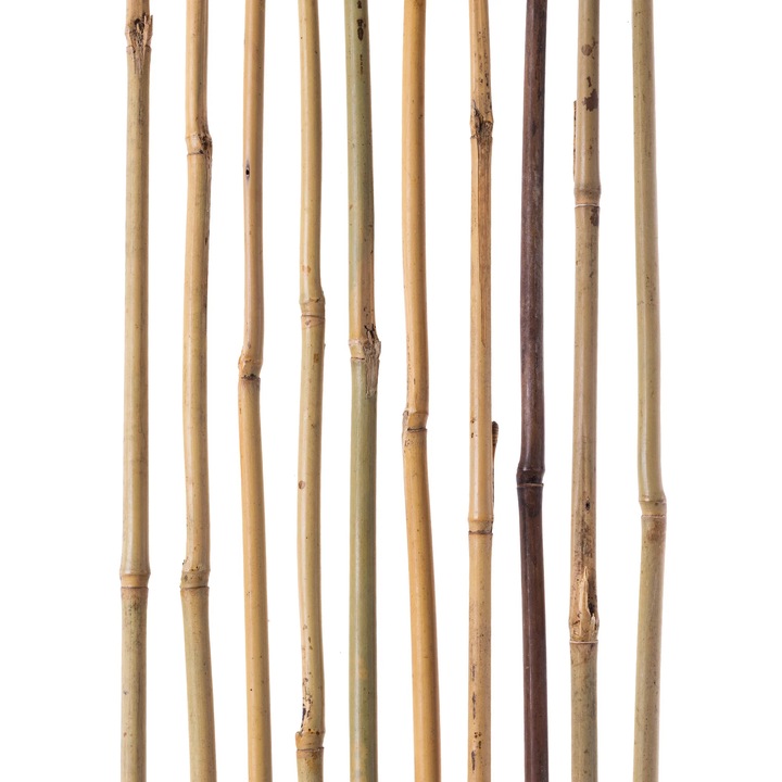 Araci din bambus pentru plante, bete de sustinere, 60 cm, diametru 1012  mm, set 25 bucati - eMAG.ro