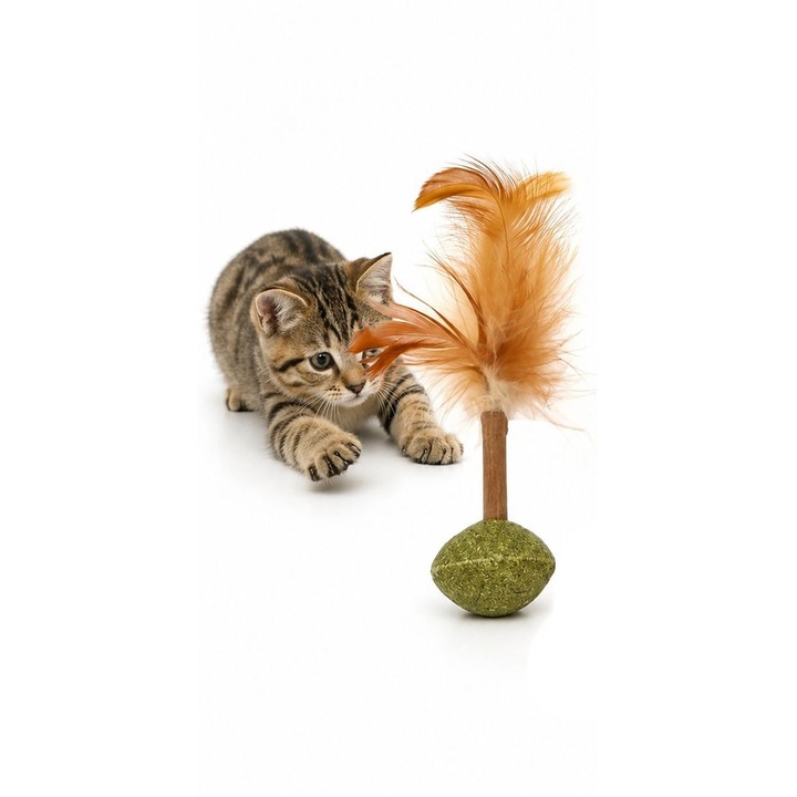 Jucarie pentru pisici FeatherBounceCatnip Doty®, bila cu iarba matei si cu pene, jucarie inovatoare conceputa pentru a stimula instinctele naturale si a mentine interesul activ, verde, 13x3.5 cm