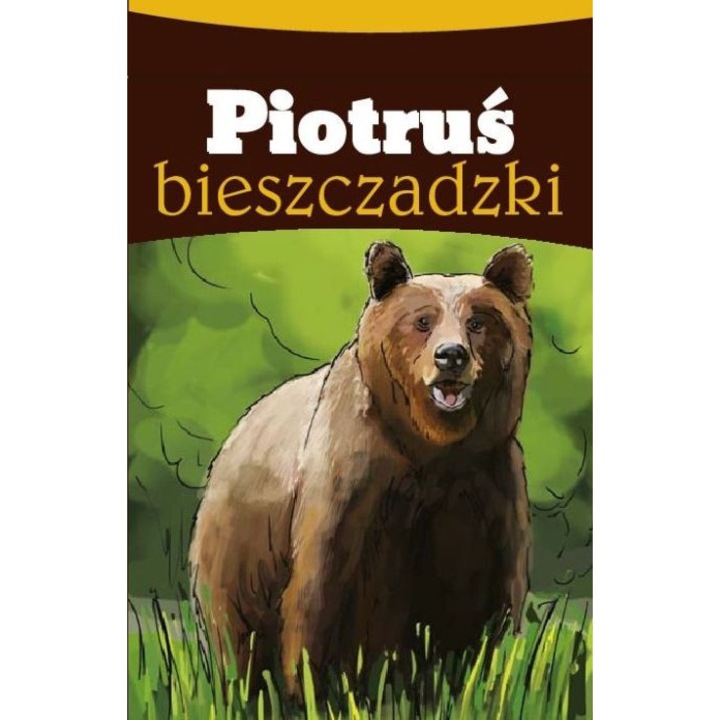 Настолна игра, Plan, Piotrus Bieszczadzki, 28 карти, илюстрации, комплект