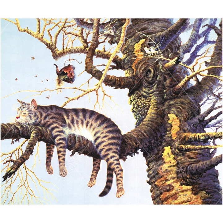 Pampicio számfestő készlet, Macska modell, 22 szín, 40x50cm