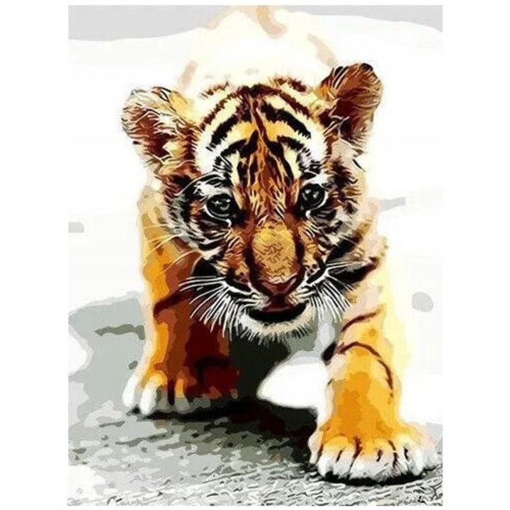 Számfestő készlet kerettel, Pampicio, Tigris, 22 szín, 40x50cm