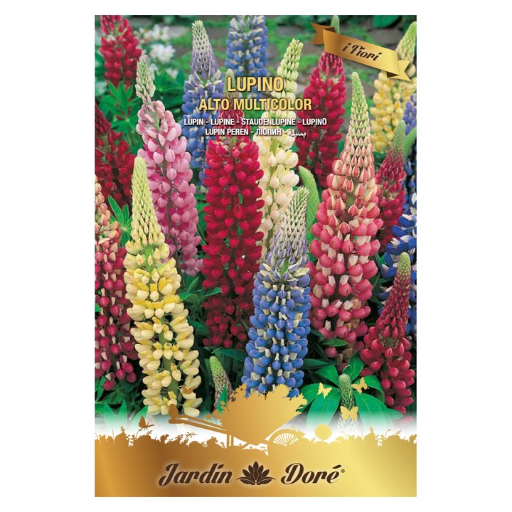 Set 4 x Seminte Flori Lupin, Amestec Multicolor, Raci Sementi