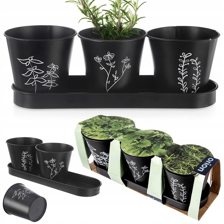 Set 3 bucati, Ghivece pentru ierburi Orion Blackline, metal cu decor vegetal, cu orificiu de drenaj, negru, 3 x O 11 cm, H 10,5 cm