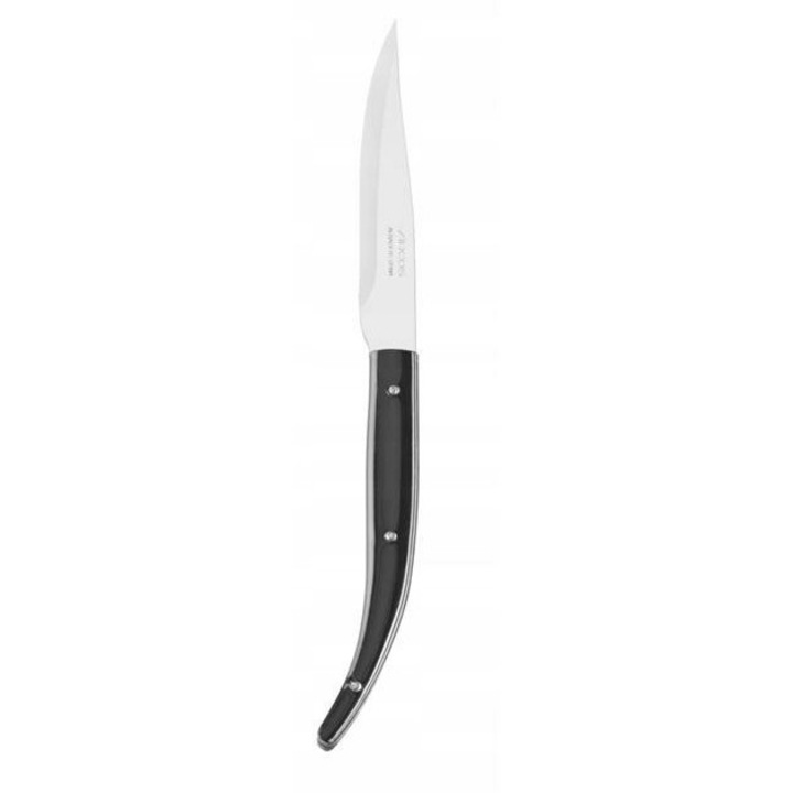 Arcos Steak Basic steak kés, fekete, 230x18x1mm