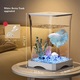 Mini Betta akvárium, asztali akvárium kezdő készlet, 2,5 l, ultra-átlátszó, etetőnyílás, világítás az alapon, könnyen tisztítható, 11,8×11,8×17,7 cm, fehér