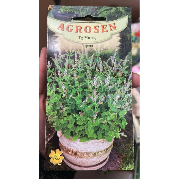 Seminte, Nepeta 0.3gr